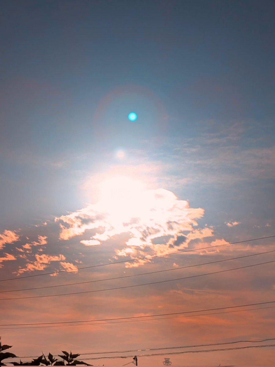 fe8_mv's tweet image. 6月22日(日)　23℃
おはようございます😊
朝日でございます。