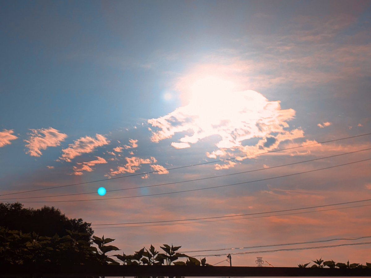 fe8_mv's tweet image. 6月22日(日)　23℃
おはようございます😊
朝日でございます。