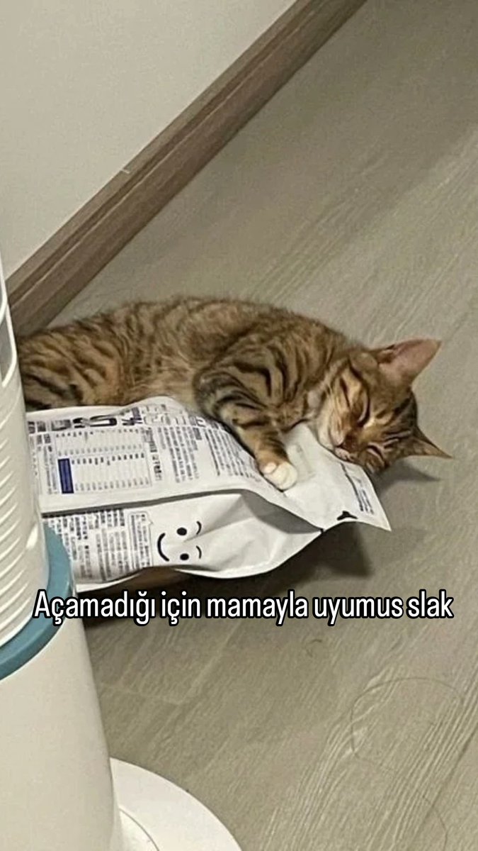 ANLIK (@anlikmod) on Twitter photo 