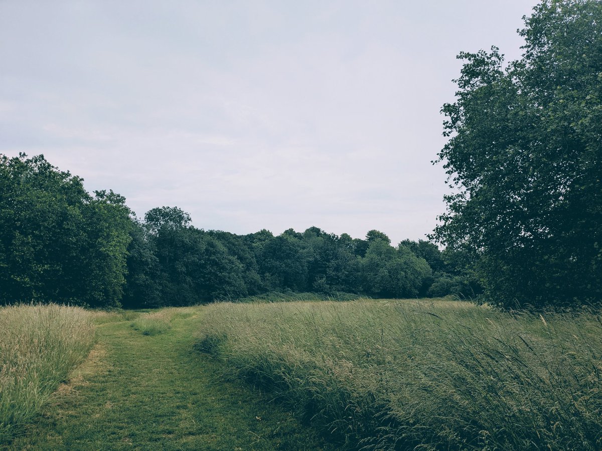 tobetired's tweet image. everything will pass