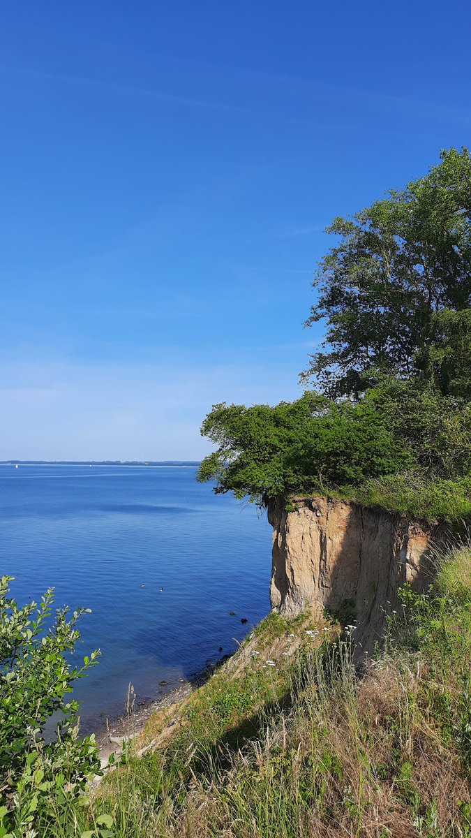 MarkusZerhusen's tweet photo. #Matjes #Steilküste #Ostsee https://t.co/7zwKsYQPa5