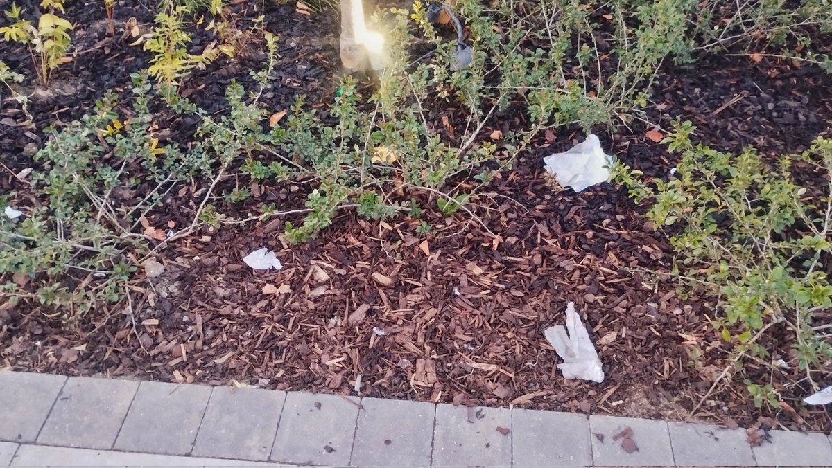 I warned Barratt London about the litter in the area. I asked them to contribute towards bins at the bus stops opposite, where much of the litter blows in from. No response. They don't even have a bin outside the marketing suite. Local knowledge is valuable. #litter #bellgreen