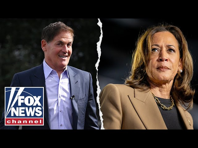 Mark Cuban turned down VP vetting offer from Harris team