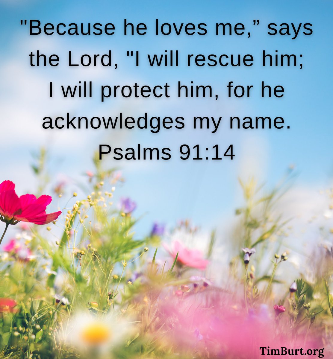 Timothy Burt (@timburt) on Twitter photo 