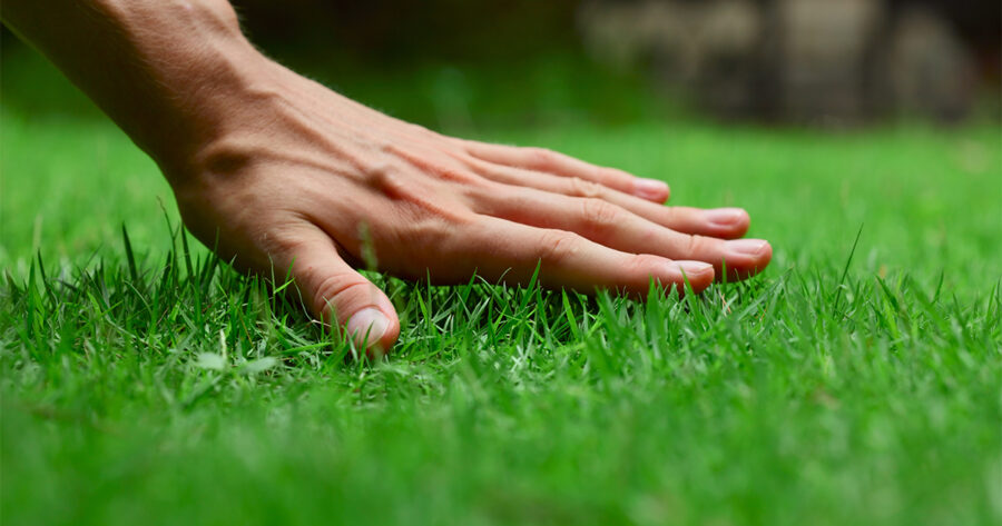 LiftKing's tweet photo. Relax &amp; touch grass. #openseatouchgrass https://t.co/OLO0rZg5u8