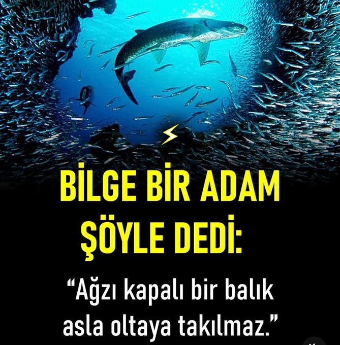 Girişimci Hisler (@girisimcihisler) on Twitter photo 