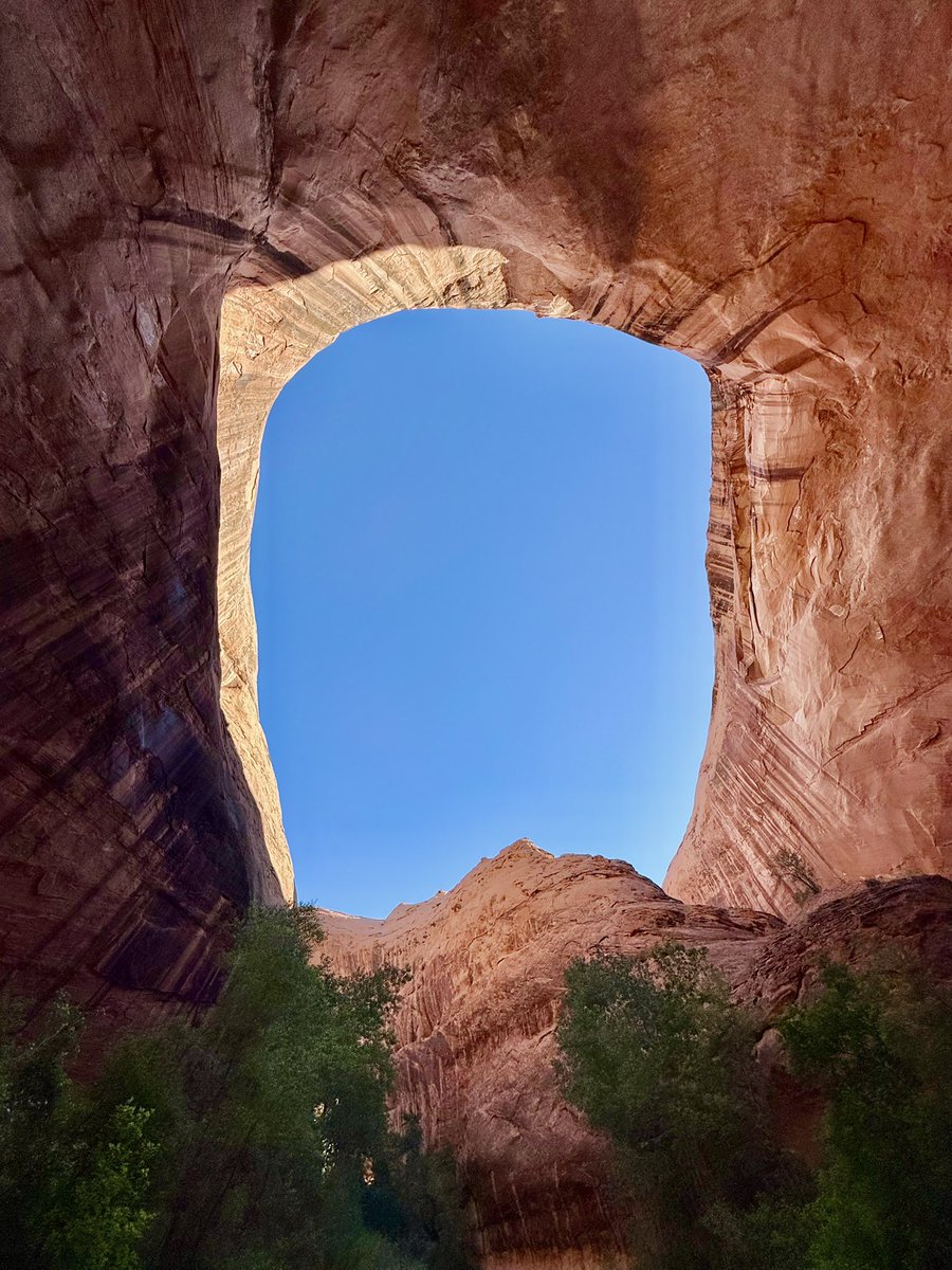 Scott Wessman tweet media