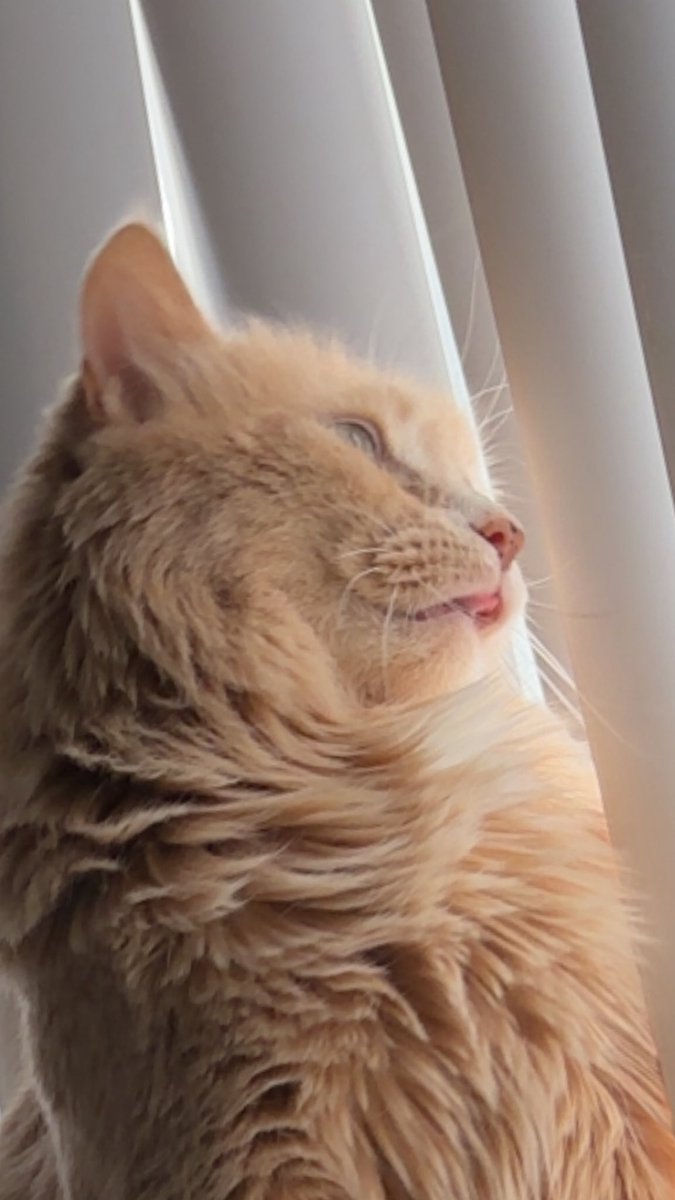 HAPPY 9TH BIRTHDAY BUTTERS~ 
my fave lil man in the whole wide world 💞