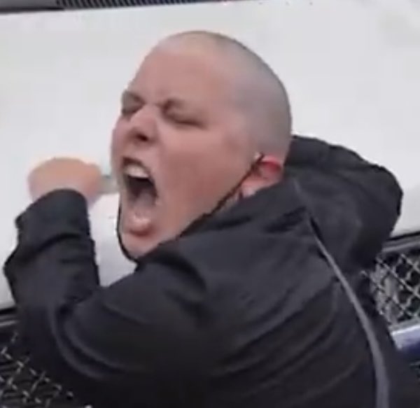 Trellz tweet media