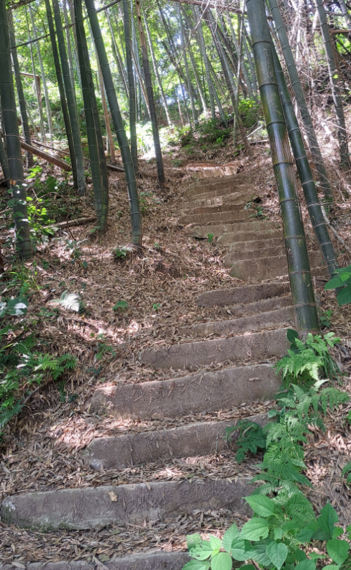 It is time to the hill #openseatouchgrass