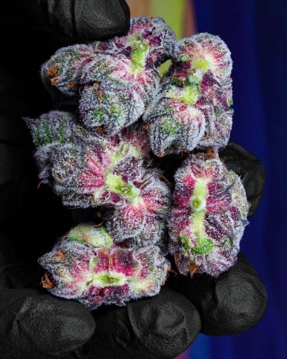 These colors are stunning 🌱