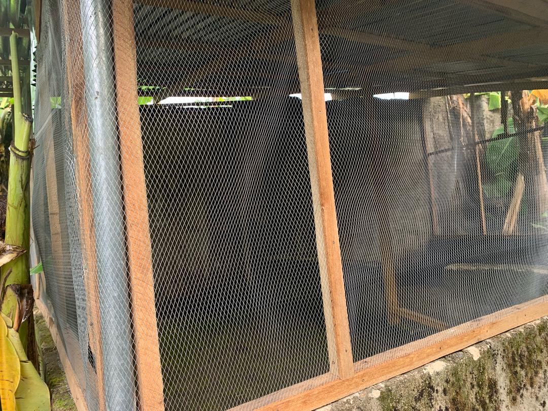 Benji___11's tweet photo. @Mazitundeeednut 400k to start a poultry business I have completed the building already
I just wish I have the capital to start the business, I have never won a giveaway on this app before
#MaziofAfricaisback https://t.co/uKXFXEjzLF