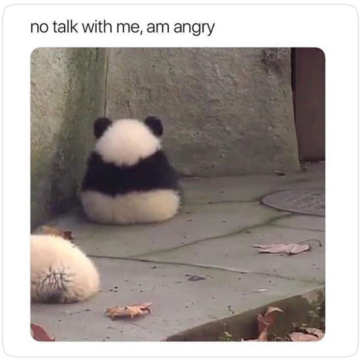 NewswirePatriot's tweet photo. Mondays be like… https://t.co/v2dyiaz5Sd