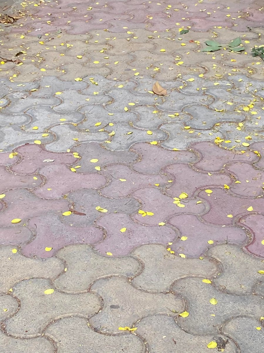 lightseekerusha's tweet photo. Walk your own path. 🚶♀️ Truth isn't found on a ready-made trail, you create it with every step. Just like birds leave no footprints, make your journey uniquely yours.
#Osho #LifePath #SelfDiscovery #WalkYourPath #NoRegrets https://t.co/KWCQLyFAfi
