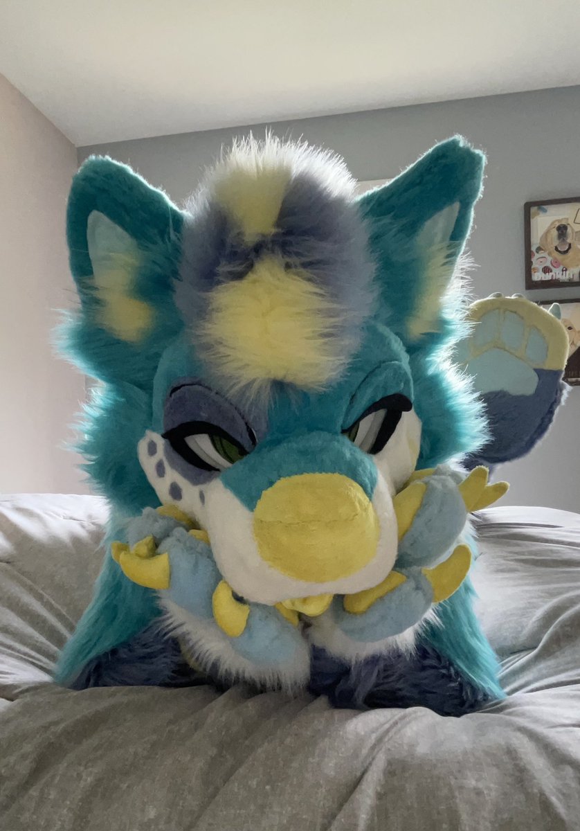 dork doggo tweet media
