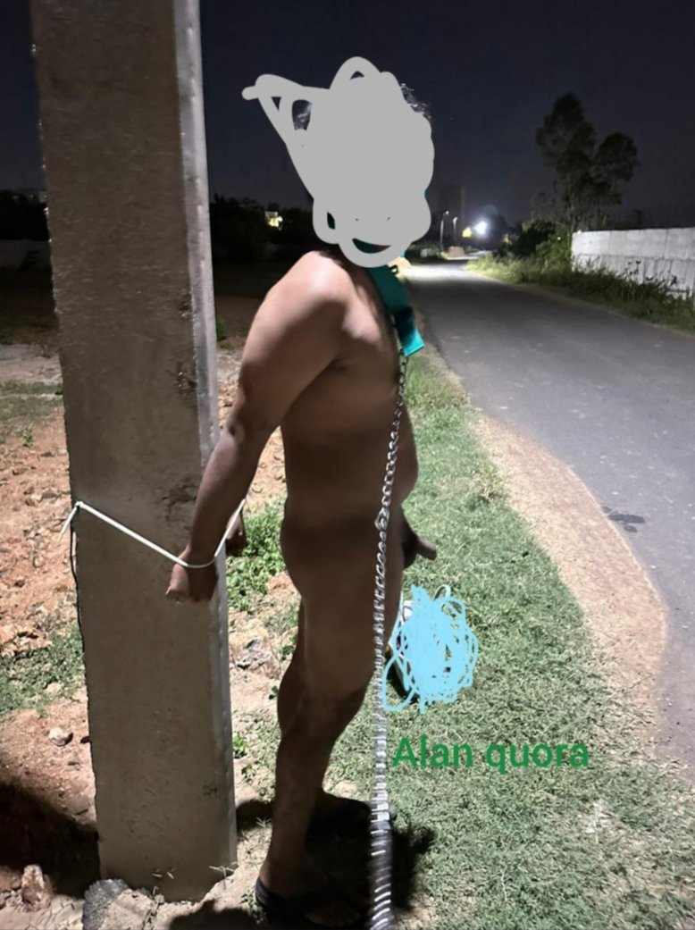 alan quora tweet media