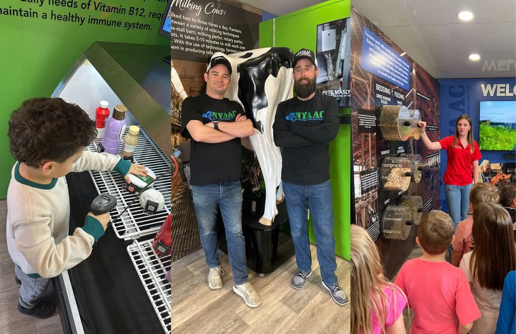 Dairy farmers are at Queens Farm Museum today with their mobile display.