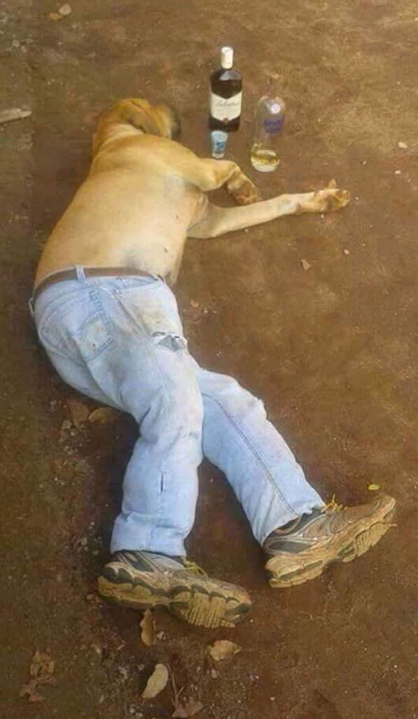 Dear <a href="/elonmusk/">Elon Musk</a> 

Of late our DMs are clogged with spam messages. Please act on it. 

It’s disturbing, disgusting