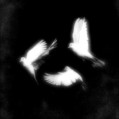 SO HANJUN. tweet media