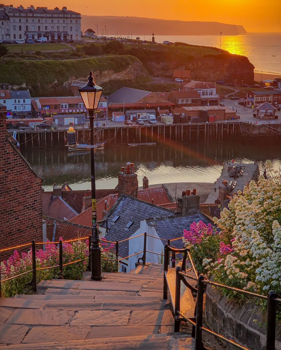 North Yorkshire tweet media