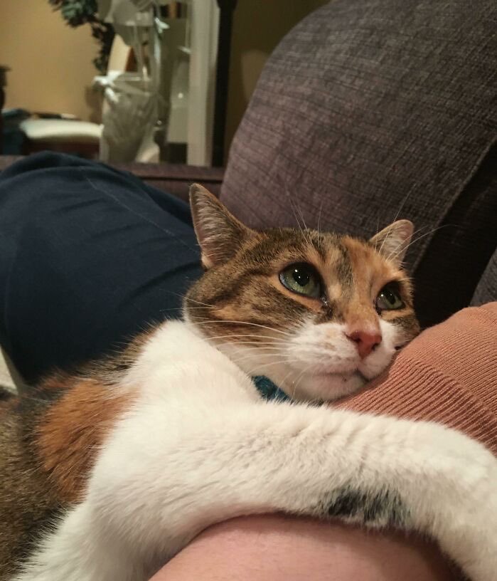 puedo ir a tu casa y pasar todo el sábado así?