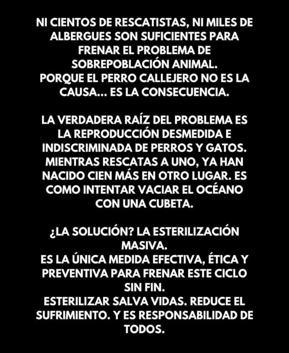 Sylvi@ Millán (@millanneururer) on Twitter photo 