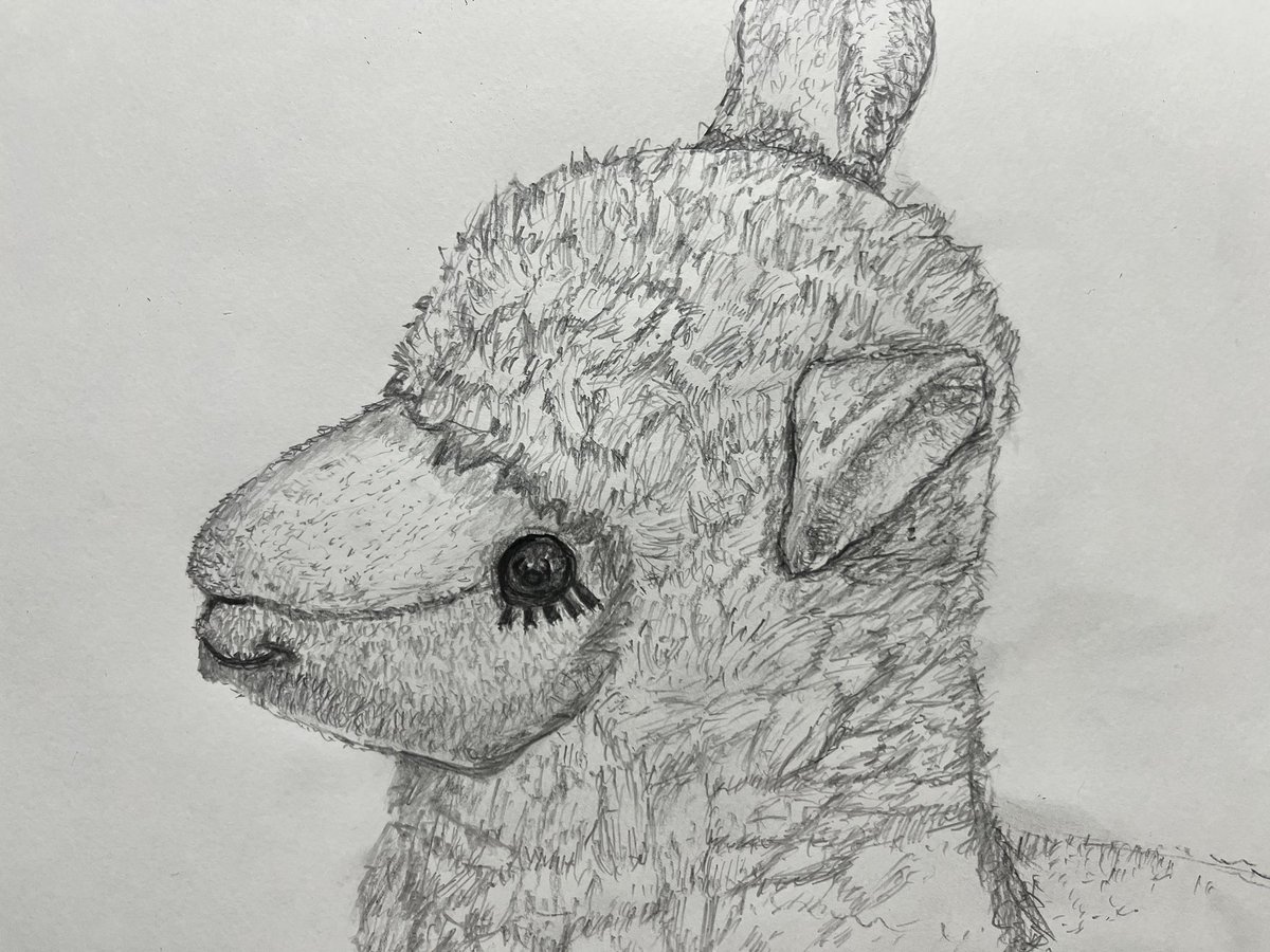 donviGameCreate's tweet photo. アルパカさん🦙 https://t.co/VATSCZ2UBy