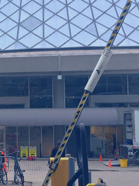 TheTruthAboutFirecracker tweet media