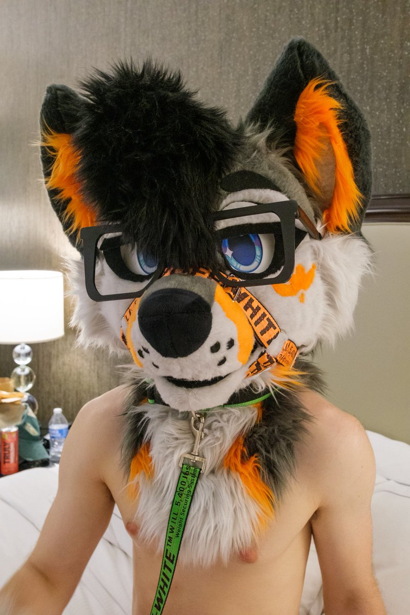 Would you take me for a walk? 😘

📸 by <a href="/ArcticSkiis/">ArcticSkiis</a>