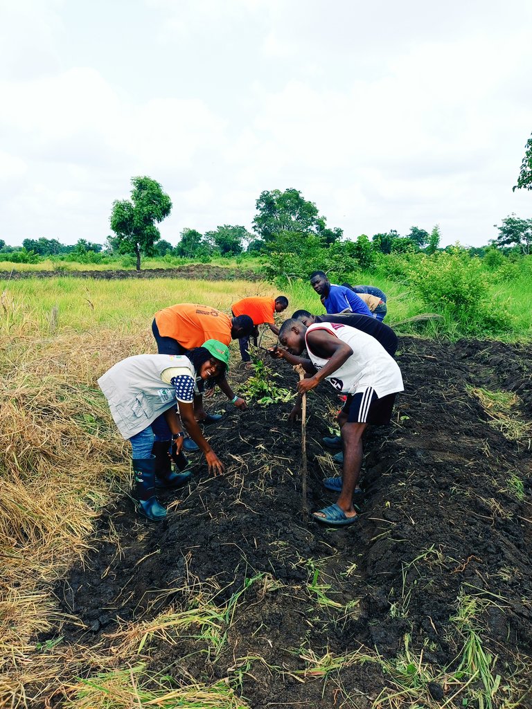 Ahulaterhide's tweet photo. Youths in Agriculture.

Thank you @SalamatujGarba https://t.co/35nZXZpbac