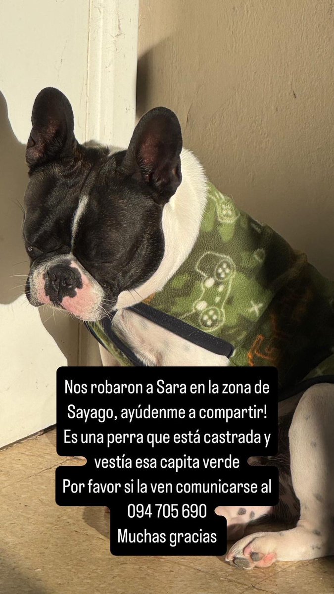 LOCOMIA 🌱 (Somos semilla) (@compromisosoli) on Twitter photo 