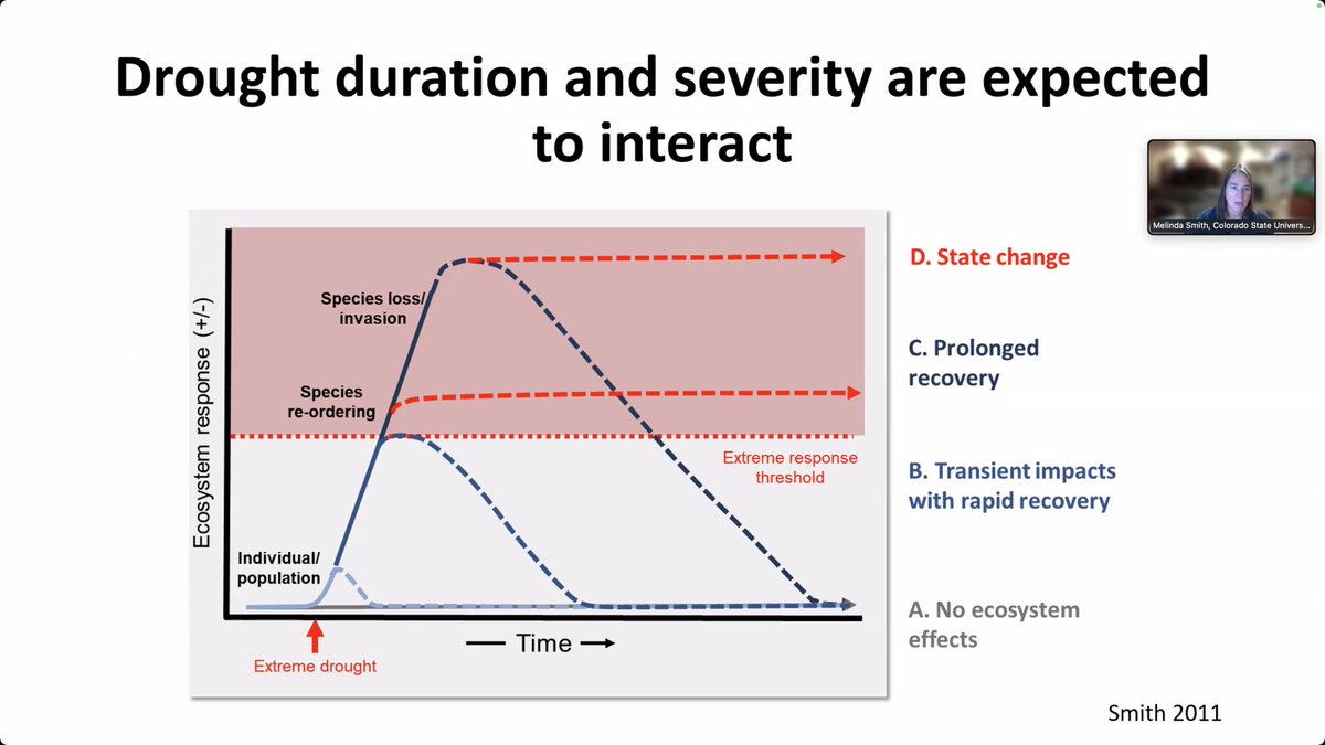 YiqiLuo's tweet image. DroughtNET, International Drought Experiment Network at 145 sites, led by our invited speaker, Prof. Melinda Smith from Colorado State U, is powerful to reveal impacts of extreme, short-term vs. long-term droughts on community structures and ecosystem functions.