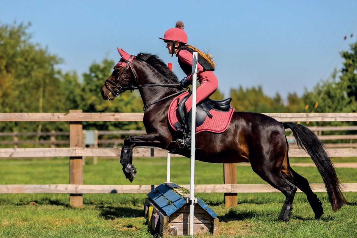 🐎 Our Mini Grass Cross Country Course is open for bookings

🔗 Book your slot here: keysoe.com/product/mini-x…

📅 Open 7 days a week
⏰ 8:00AM - 5:00PM
📍 Keysoe International,MK44 2JP