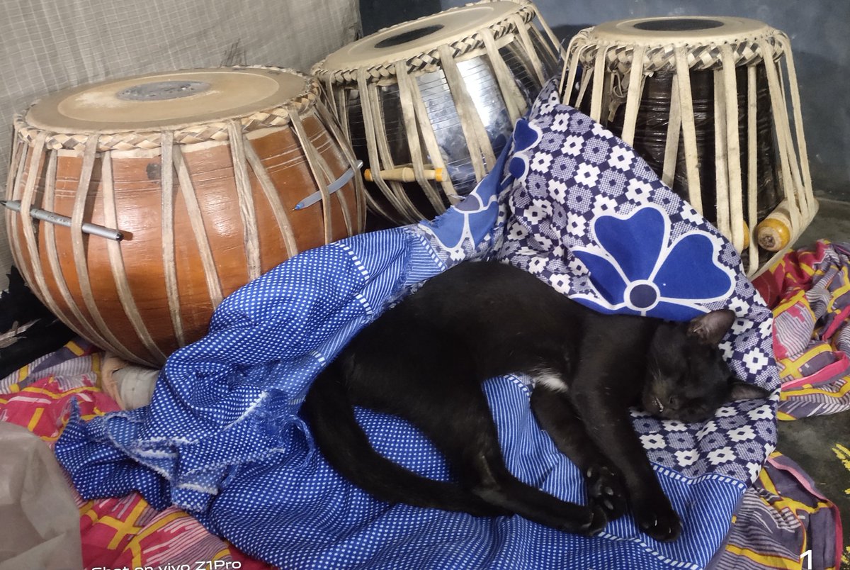 Debasis15915539's tweet photo. Tabalchi ko nind agiya 😂
#AnimeLover #BlackCat #BlackLove https://t.co/45j0YF10BN