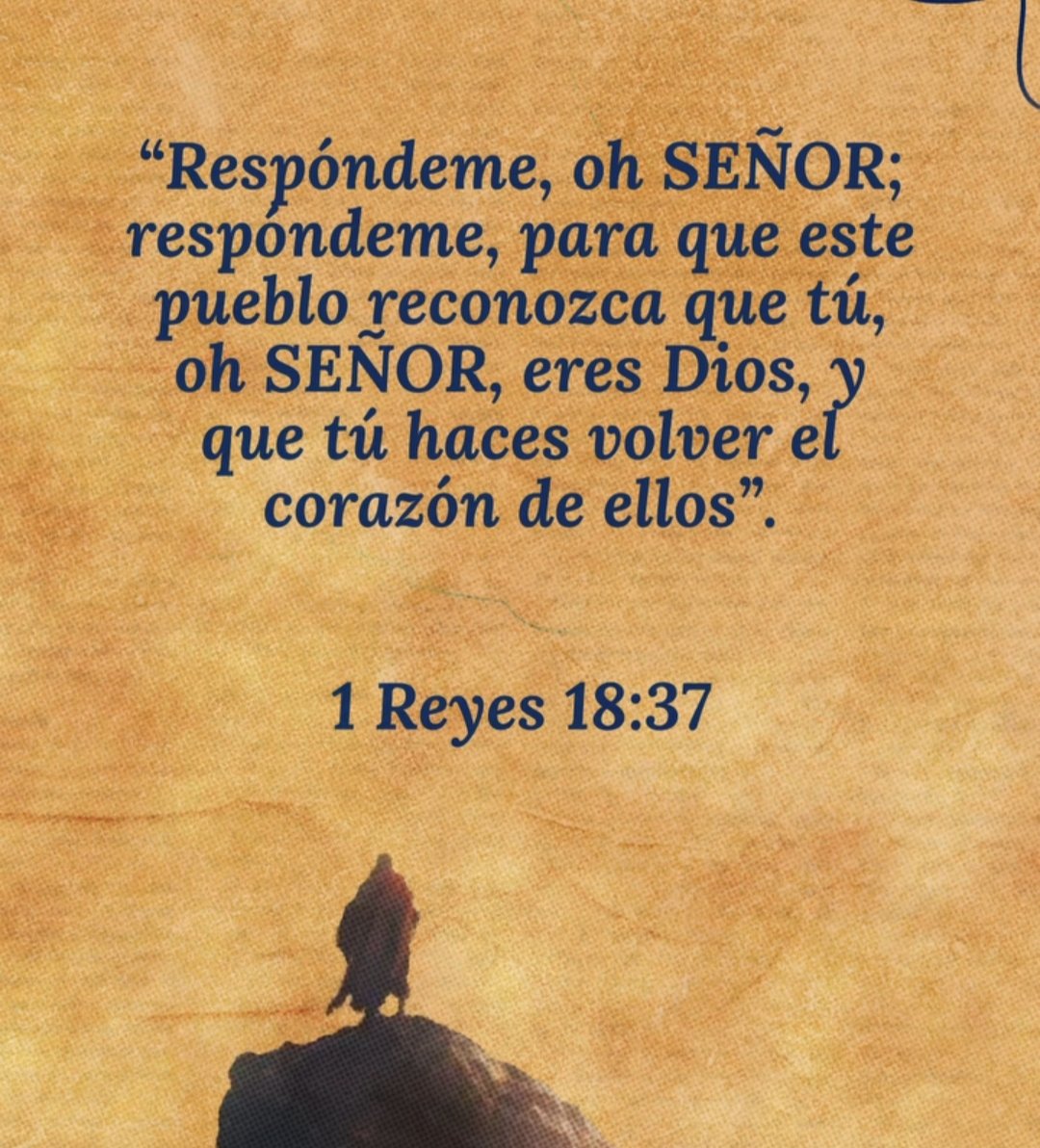 RocaAlfil's tweet photo. Bendecido sábado 🙌🏻 https://t.co/RiDVWvnDpp