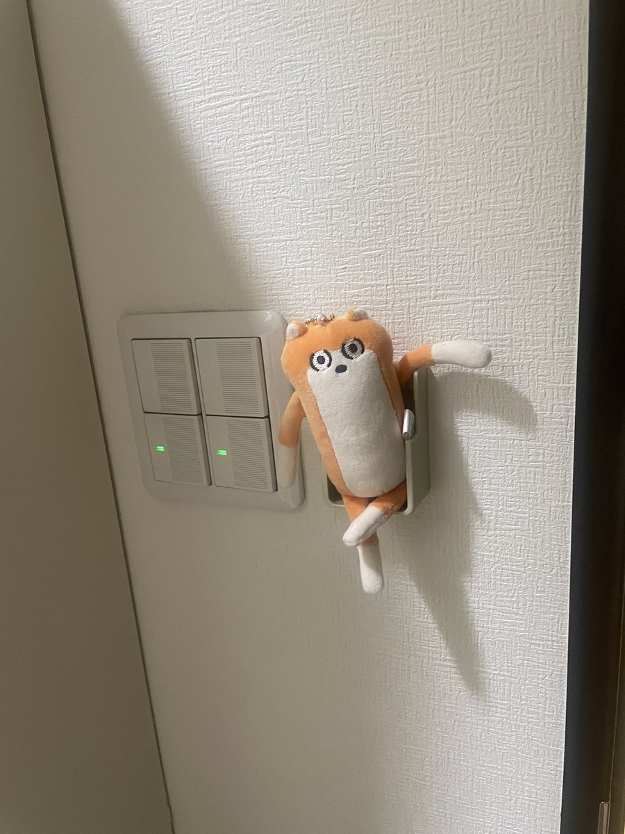 我が家のイケハムを見て
#クソハムちゃん