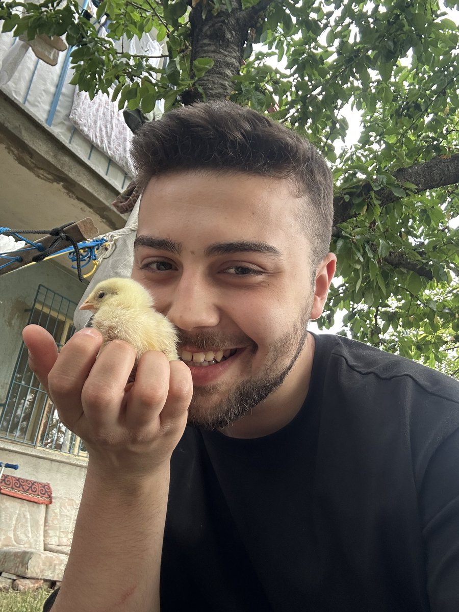 Benim hayvan sevgisi (2010-2025)