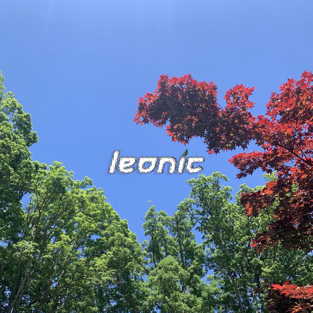 Unreleased summer mix out now 🌴