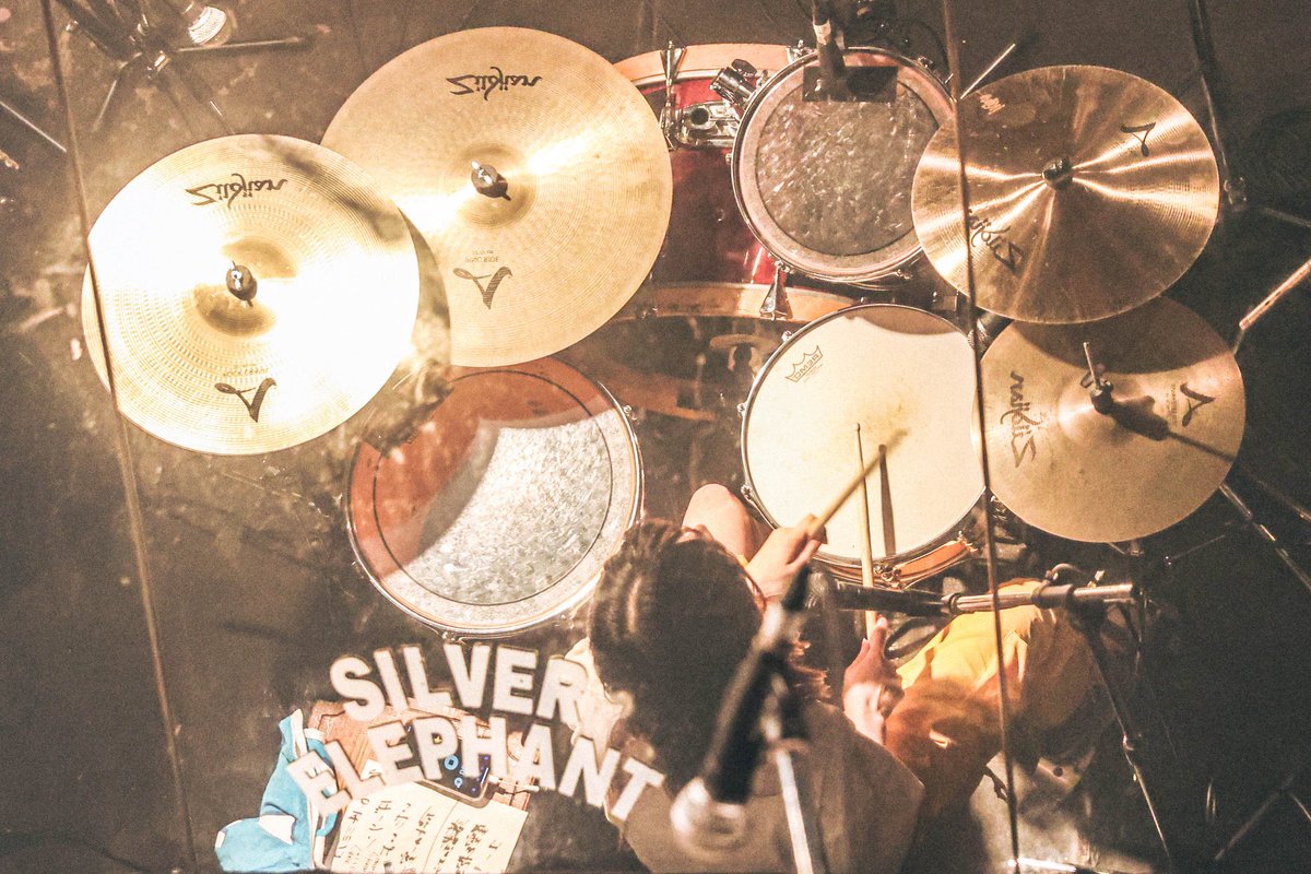 2025.6.14(土)

MiMiNOKOROCK FES JAPAN in 吉祥寺 2025
SILVER ELEPHANT

初ミミノコでした！ありがとう！！
楽しかった！また来年も出れるように頑張る✊

#ミミノコ
#シベリアンハスキー 
#シべハス