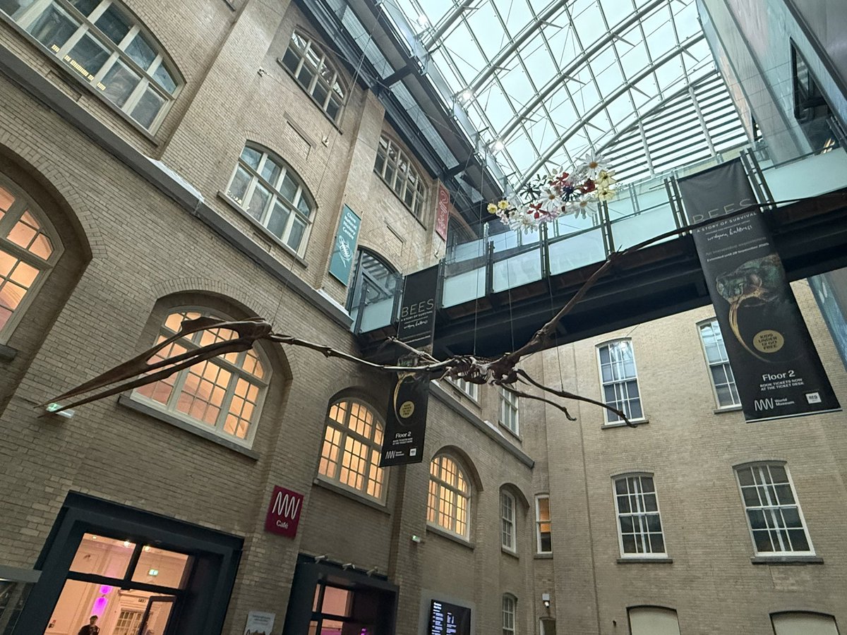 RuthFEvans's tweet image. Stunning @KantosChoir @EllieSlorach Elements performance at the World Museum Liverpool last night 👏 Every concert venue should have dinosaurs protecting the music stands from the ground (& above!). Wonderful to watch Kantos in Liverpool #Earth #Air #Water #Fire