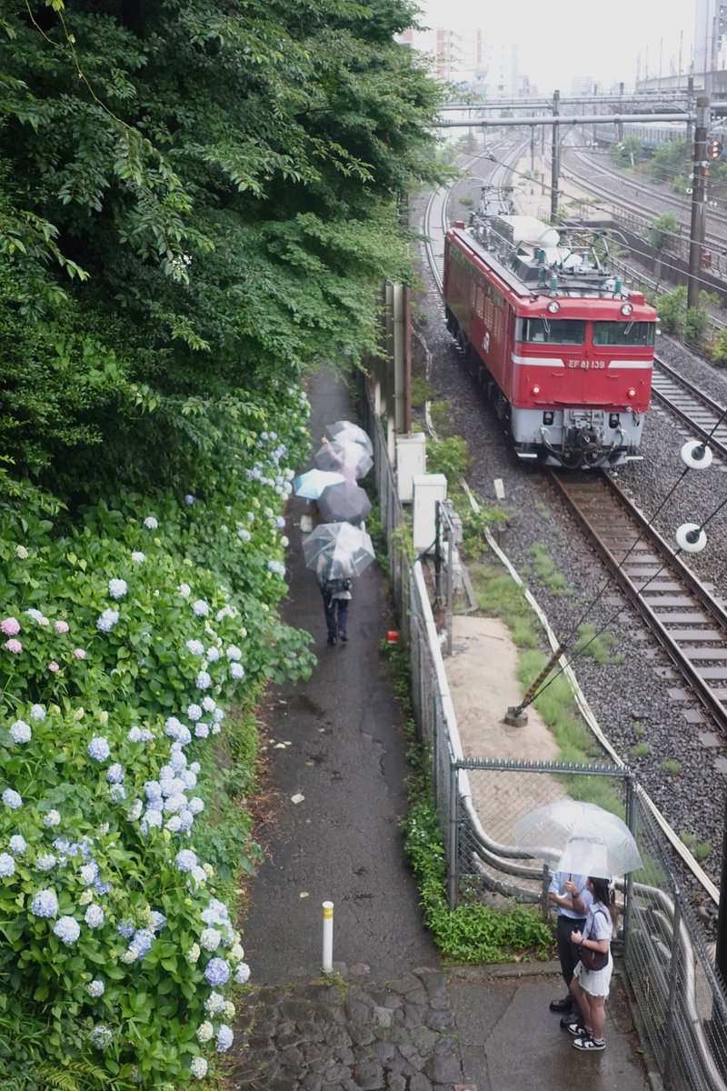 2025.6.10　飛鳥山

#みんなのテールランプ見てみたい