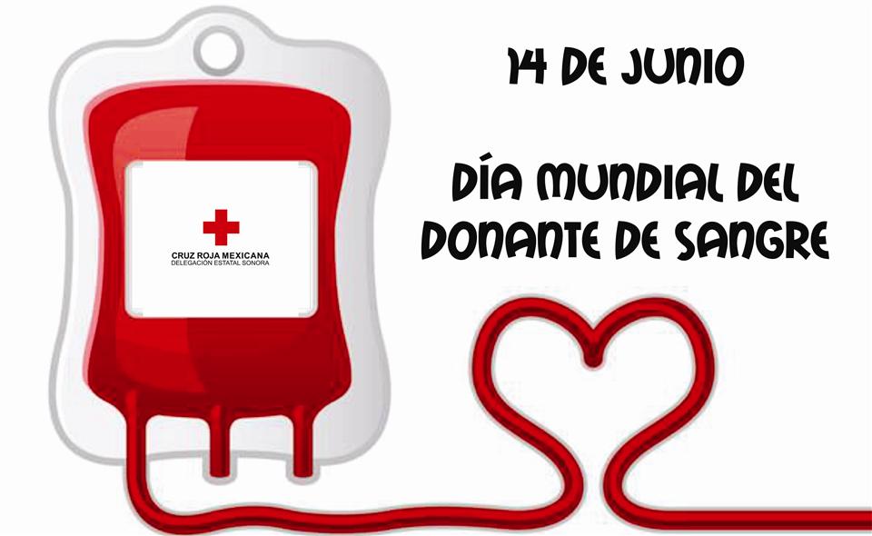 Rendimos homenaje a esos héroes anónimos que, con un simple gesto, transforman la vida de quienes más lo necesitan. ¡Gracias por ser parte de esta noble causa! #DiaMundialDeldonanteDeSangre #DonarSangreEsSalvarVidas #CiegoEn26 #CiegodeÁvila
<a href="/fernandezarcia/">Alfredo Fernández Arcia</a>
<a href="/asihablaradio/">Programa Así se Habla</a>