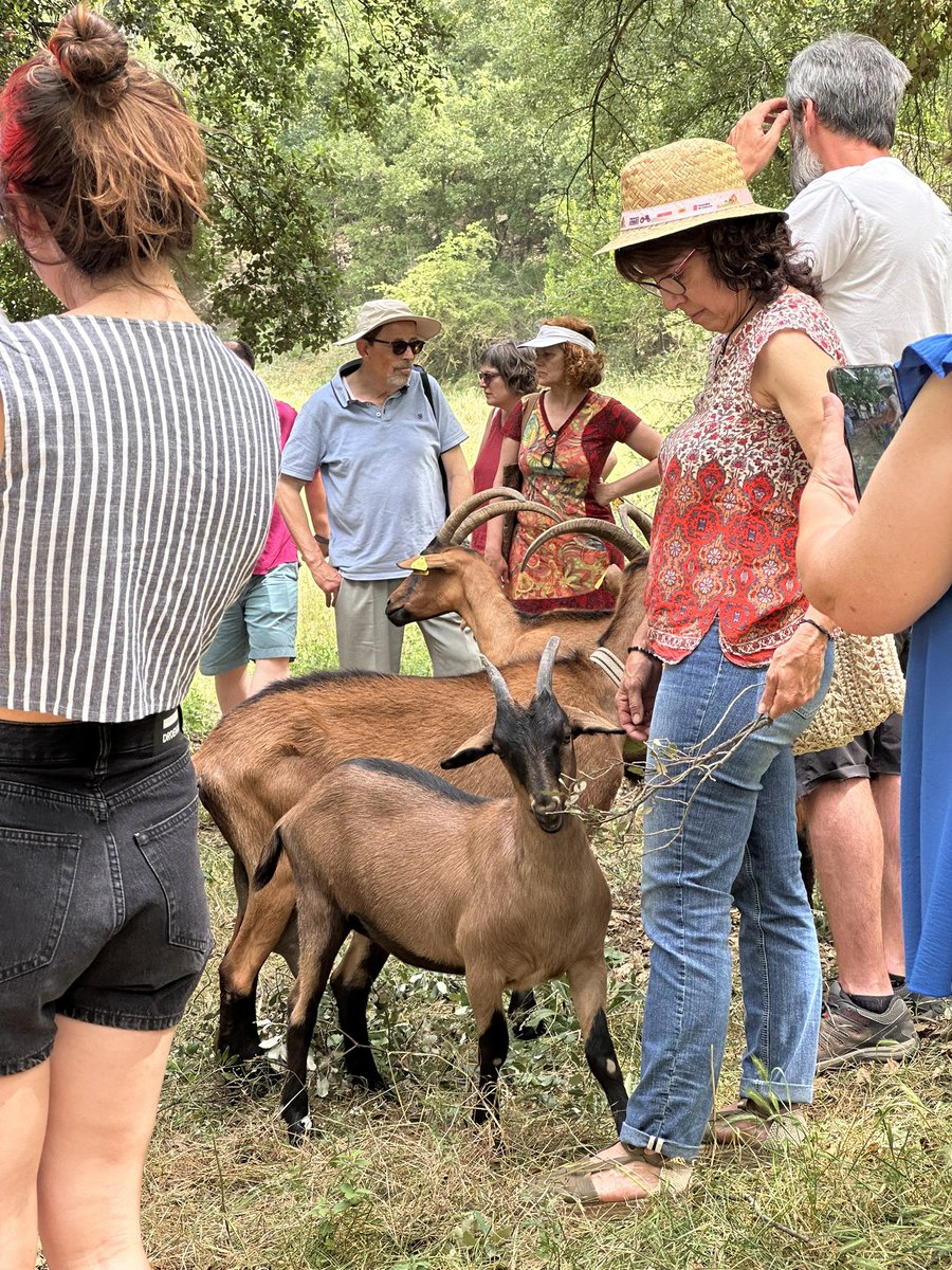 Isaac Peraire Soler tweet media