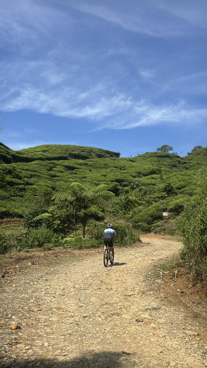 #wikenku survey bareng apip (80/100 completed 😢)