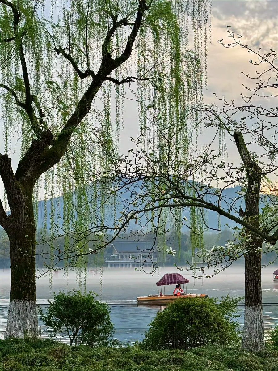 NHoffman3277's tweet image. Ten thousand springs and clear scenes at West Lake #WestLake #Hangzhou #SpringScenery #NatureLover #BeautifulScenery #ChinaTravel