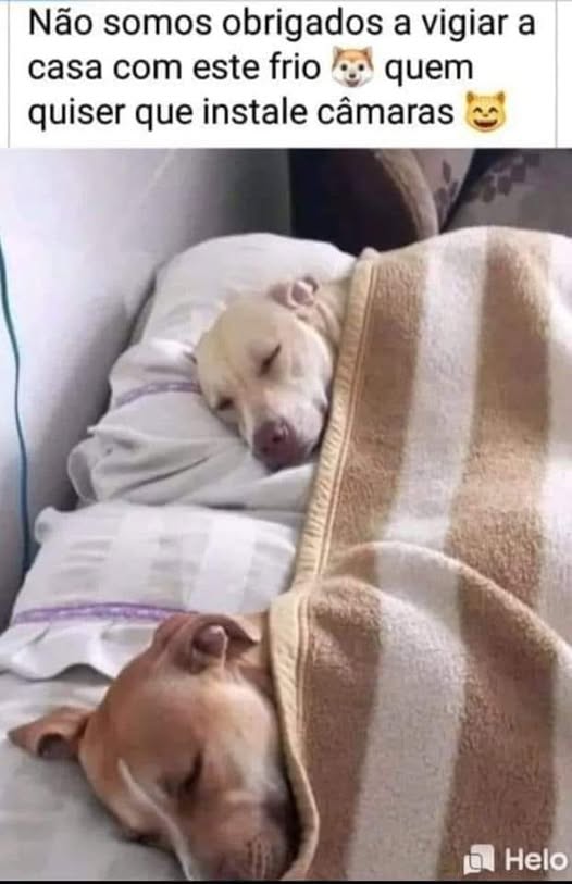 asemananews's tweet image. Se Deus cuida das #flores e dos #passarinhos, quanto mais cuidará de #nós: -"Lancem sobre ele toda a sua ansiedade, porque ele tem cuidado de vocês". (1 Pedro 5:7)

#jornalasemananews #Deusestacuidandodetudo #seliganadica #SeDeusÉPorNós #QuemSeráContraNós #boraviverboraserfeliz