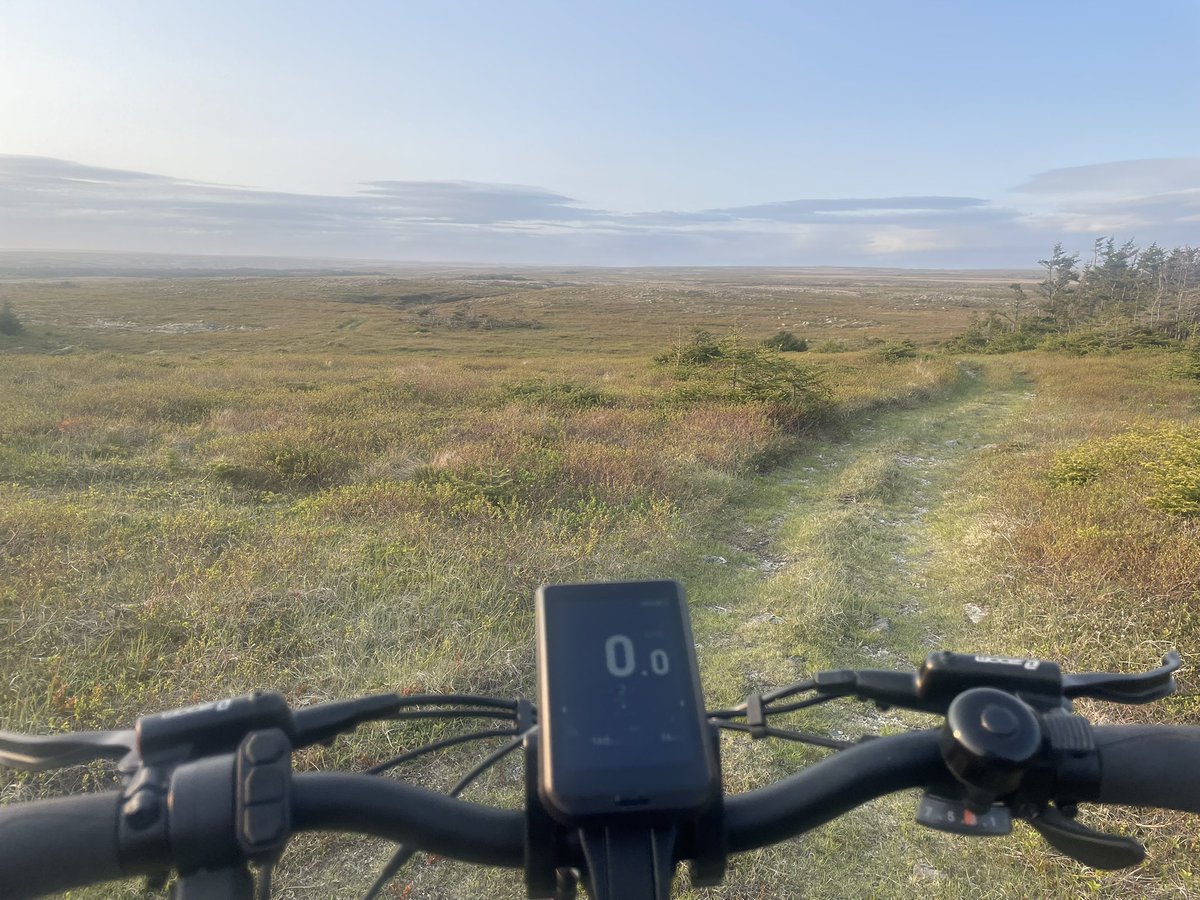 Stephen Pinsent (@swpinsent) on Twitter photo 