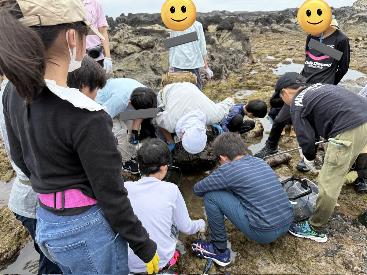 中学受験　アルファ実験教室　解答冊子　1年生　2年生 2024_G脳トレーニングカバー_7.jpg