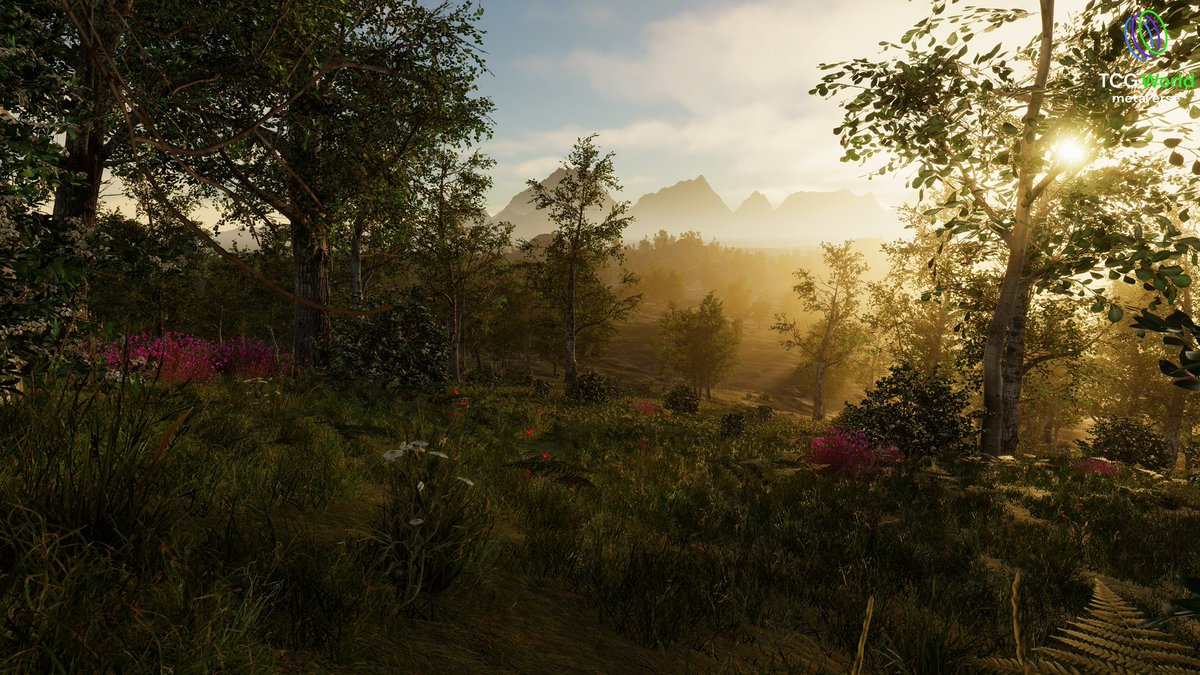 Waking up to views like this, with a day full of unknown quests, epic battles, rare finds, and endless opportunity ahead.

Yeah… count us in. ⚔️