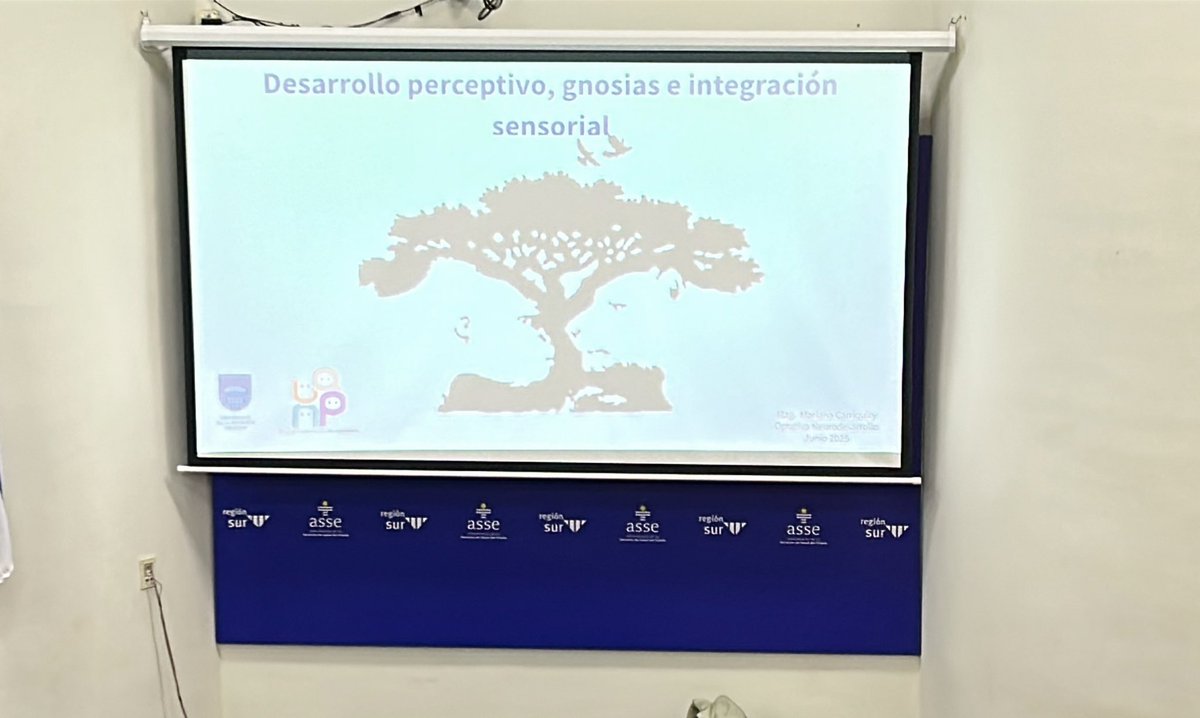 Segunda clase del curso “Estrategias para la detección temprana de los trastornos del neurodesarrollo”, organizado por la unidad académica de neuropediatria- CHPR.